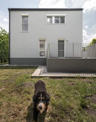 Az építészek szabad kezet