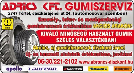 www. dpmsz. hu 5 I N G A T L A N CEGLÉDEN a városközponthoz közel javításra szoruló kertes családi ház eladó.
