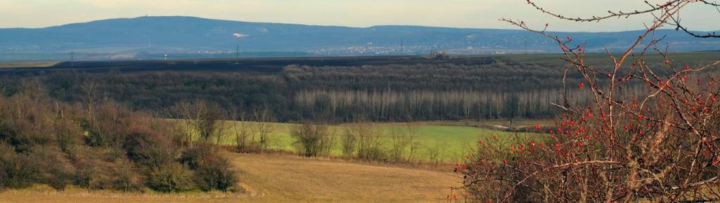ETYEK 15 ÉGHAJLAT A mérsékelten hűvös és mérsékelten meleg, valam int a mérsékelten száraz és száraz éghajlati típus határán el terülő kistáj.