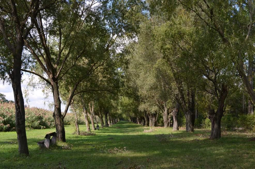 18 ETYEK VÉDETT TÁJI ÉRTÉKEK Kiemelt Natura 2000-es terület Etyeken a HUDI20049 kóddal Szentgyörgypuszta néven jelölt különleges természetmegőrzési terület.