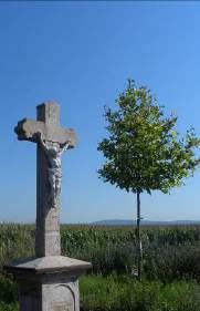 576/1 ALCSÚTI ÚT