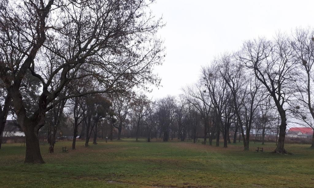 A Somossy család jelentős szerepet töltött be a megye és több település életében.