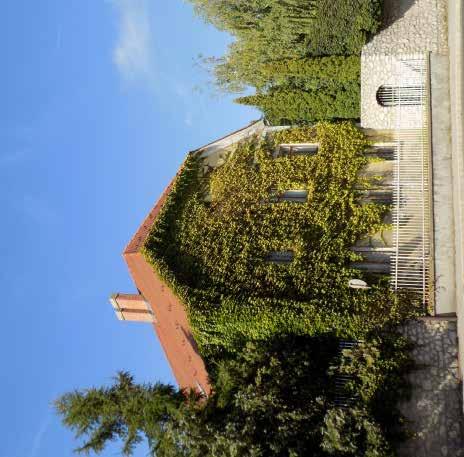246 247 HOMLOKZATKÉPZÉS, ANYAG- ÉS SZÍNHASZ- NÁLAT Az utcai homlokzat az épület arca, ezért nagyon fontos,hogy mi az az arc, amit megjelenít.