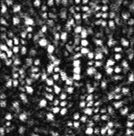 Az előző méréssel megegyező körülmények között rögzített hologramot több kiolvasó kulccsal rekonstruáltam, miközben kulcstávolság az alábbi értékeket vette fel: κ = {0;,5; 5; 7,5; 10; 1,5; 15; 17,5;