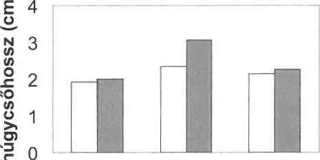 G atizom torna 6s ultrahang Pelvic flo o r m uscle training and ultrasound Surányi A ndrea é s m tsai zoltuk (2. ábra).
