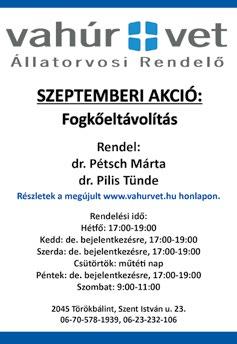 PRÓBÁK, KLUBNAPOK AZ MMMH-BAN Alpha Kör: csütörtök 18:30 Grossturwaller Tänzer: szerda 19:00 Krisztus Szeretete Egyház: csütörtök 18:00 Lendvai Károly Férfikórus: csütörtök 16:00 Mozgáskorlátozottak