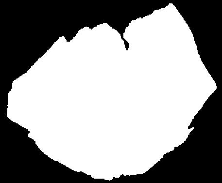 NYÁRI