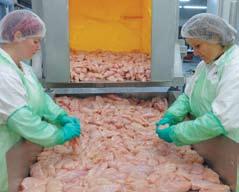 The main raw material of the products poultry meat is sourced primarily from Hungarian slaughter-houses.