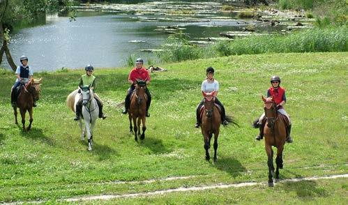 Tel.: +36 30 63 04 471 info@hedervarilovasklub.hu; www.hedervarilovasklub.hu Sétakocsikázás Orchidea Hotel**** 9233 Lipót, Rákóczi u. 42-44. Tel.