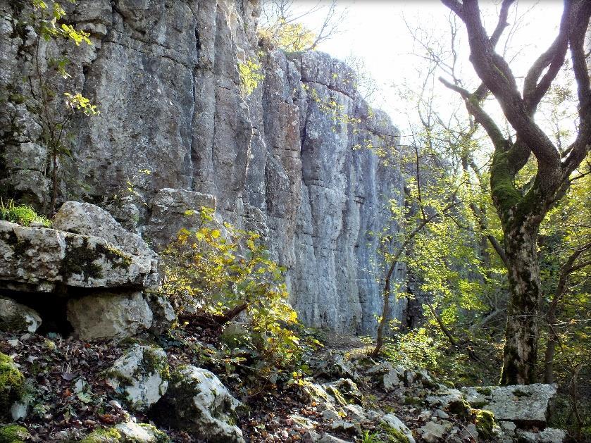 műemlék Kőhíd melletti pihenőtől rövid sétával érjük el a Kű-völgy csodálatos és különleges szakaszát, a mészkő szurdokot, szárazvölgyet.