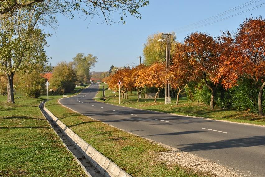 épületek a táji hagyományokat nélkülöző földszint+tetőteres magas oromfallal készült utcára merőleges nyeregtetős formában készülte az akkori országos standarthoz igazodva.
