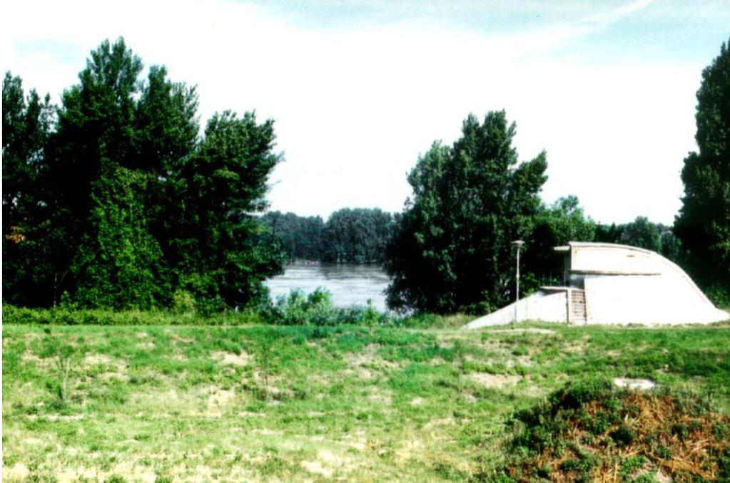 4. ábra.