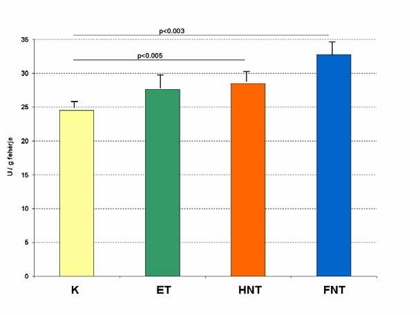 6.4. Biokémiai mérések 6.4.1. A antioxidáns enzimeinek vizsgálatakor csak a GR (6.4.1.1. ábra) és a CAT (6.4.1.2.