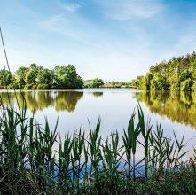 Bőven akad hát természetvédelmi terület, körzet és táj, számos településünk határa büszkélkedhet a természet így kínálkozó értékeivel.