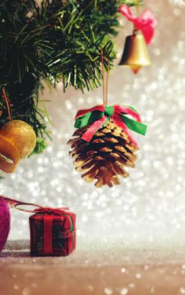 TVRDOŠOVSKÝ SPRAVODAJ DECEMBER 2017 Tajnička: Mám ich veľa,