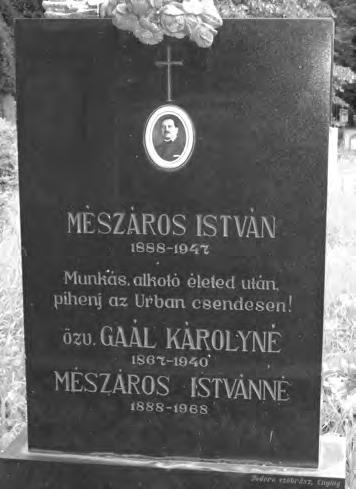 Kezelése után a pótzászlóaljnál, majd ismét a harctéren (Piave mentén) szolgált. Harctéri szolgálata 15 hónap. Kitüntetései: 1. osztályú Ezüst Vitézségi Érem (1914. okt. 14.