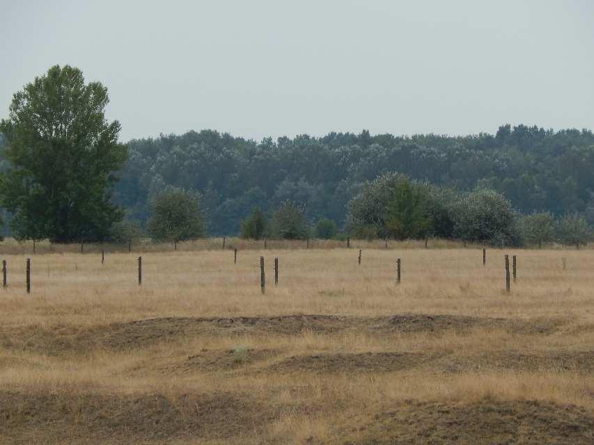 A település lakott területe viszonylag messze esik a Tisza