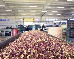 A Kalamata olajbogyó és kapcsolódó termékek termelésével, csomagolásával és exportjával foglalkozó Mani Foods extra szűz olívaolaja számos díjat nyert.