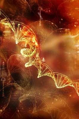 Humángenetika A HGP első legfőbb célja teljes humán genom szekvenciájának megállapítása volt, melynek eredményeképpen lehetővé vált hozzávetőleg 21 000 gén azonosítása.