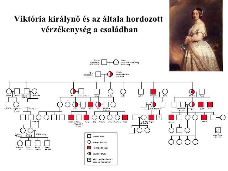 A multifaktoriális és poligénes betegségek esetén a genetikai megbetegedéseket több (gyakran igen sok) gén és a környezeti hatások közösen alakítják ki.