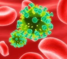 Legnagyobb veszély: vérrel és szexuális úton terjed kórokozók átvitele HIV Hepatitis B