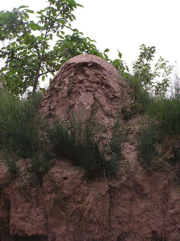(Saját fotó, Wenjia, Minhe, Hui és Mongvor autonóm megye, Qinghai, Kína, 2007.