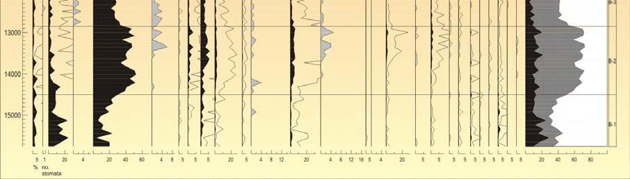 Az üledék ostracoda analízise során óriás spermatozoák kerültek elő, melyek az eddig talált legidősebb szaporító képletek (13300 kal BP év).