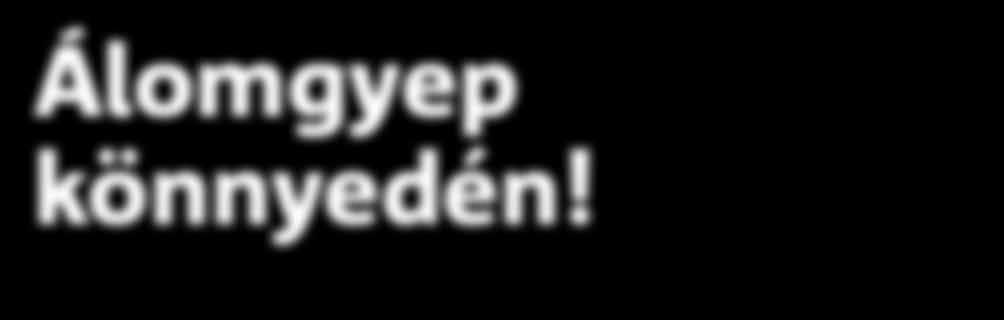 A fűmagjaink minden követelményt teljesítenek, amelyet a kerttulajdonosok egy magas minőségű gyeppel szemben támasztanak.
