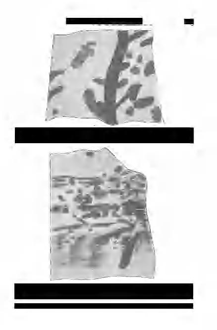 D и d i с h H al á s z : Öséletnyomok 451 3. ábra. i. tipus, Lovas-5.