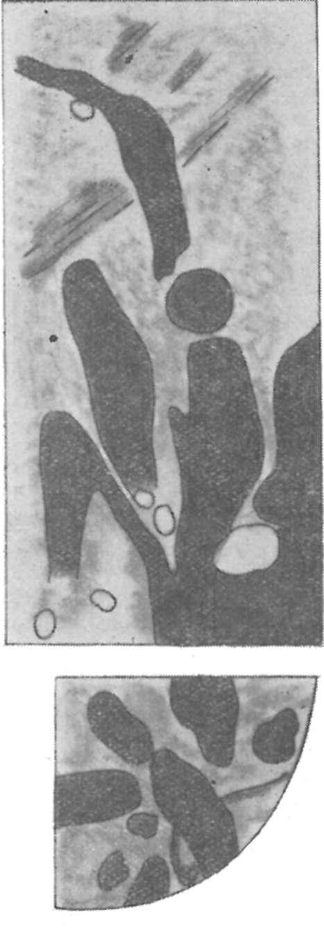 Small-grained, grey, micaceous, carbonate-and-claycemented quartzose