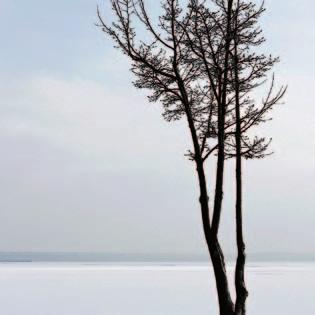 PHOENIX Továbbképzések 2017. február-március MINŐSÍTETT SZABADON VÁLASZTHATÓ, ILL. MINŐSÍTETT SZAKMÁHOZ KÖTÖTT TOVÁBBKÉPZÉS Helye: Győr PHOENIX Kereskedelmi Központ 9023 Győr, Szabolcska u. 3.