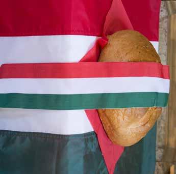 Az ünnepség zárásaként az intézmények és a civil szervezetek képviselői közös koszorúval tisztelegtek Szent István szobránál, majd a jelenlévők a Bor