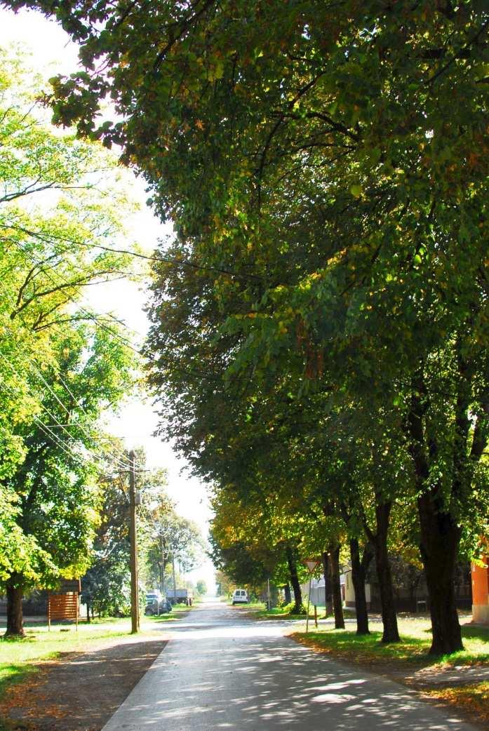A település bemutatása 6 A település lakóit a föld és a természet szeretete jellemzi.