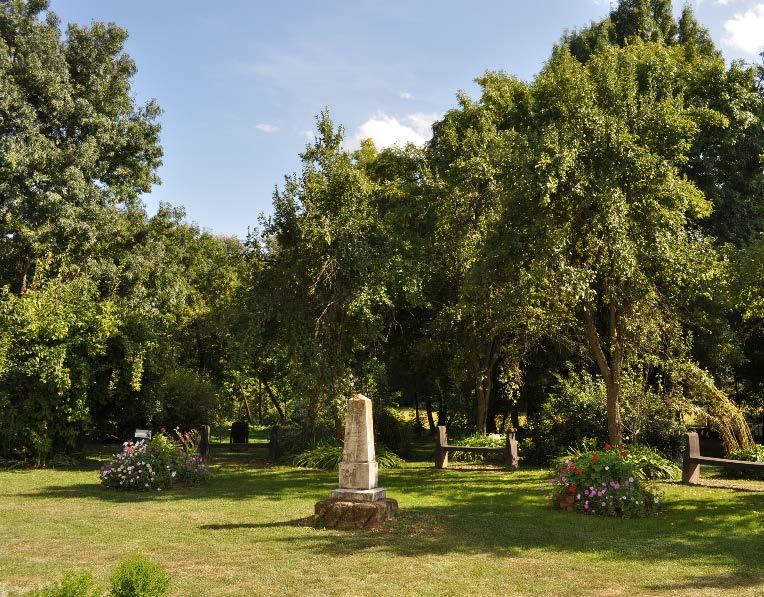Csaroda -