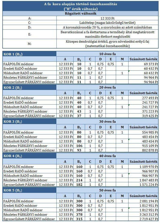 6.1 A FA KORA ALAPJÁN