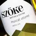 DISZNÓKŐ DRY FURMINT száraz fehérbor TOKAJ A területre jellemző ásványos illat és ízvilágot megjelenítő Furmint szőlőfajtából acéltartályos erjesztéssel készített bor.