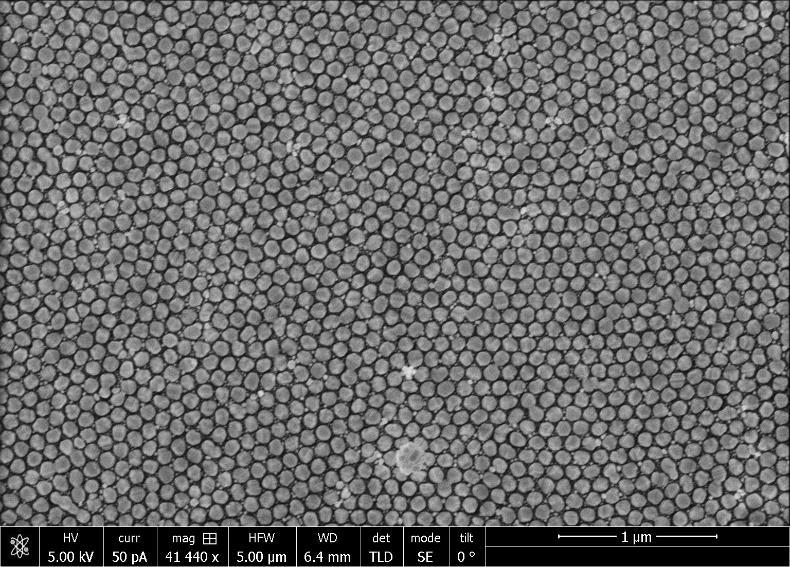 PDMS-Au NP kompozit alkalmazási