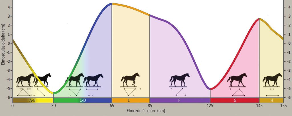 EREDETI KÖZLEMÉNYEK Biomechanica Hungarica IX. évfolyam, 1. szám számolt lépésgörbe esetében kerültek beazonosításra.