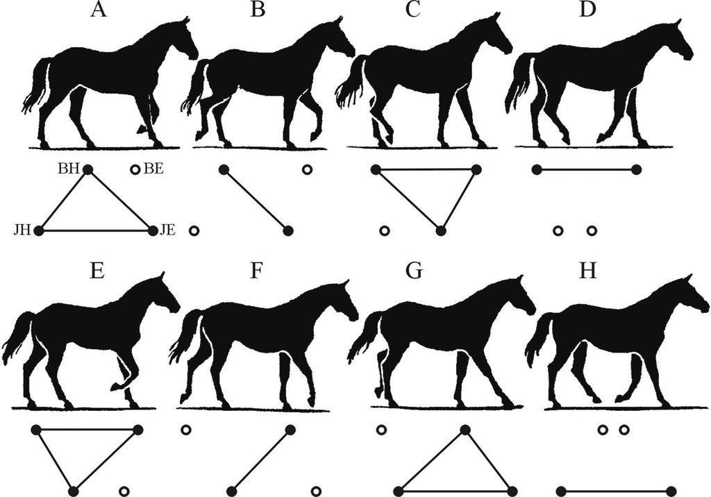 EREDETI KÖZLEMÉNYEK 1. Témafelvetés A lovasterápiában, azon belül a hippoterápiában a lovak lépés jármódját használjuk.