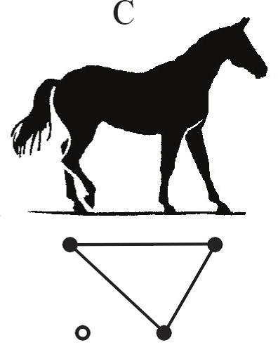 A statikus ábrázolás mellett a mozgásfolyamatról animáció is készült. 5. Eredmények A 7.