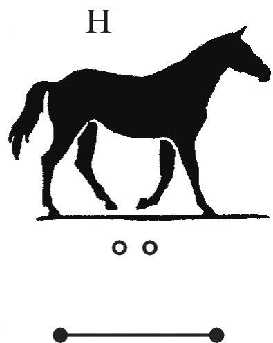 Biomechanica Hungarica IX. évfolyam, 1. szám EREDETI KÖZLEMÉNYEK 14. ábra. Gambarjan 3 H fázisának térbeli ábrázolása A 9.