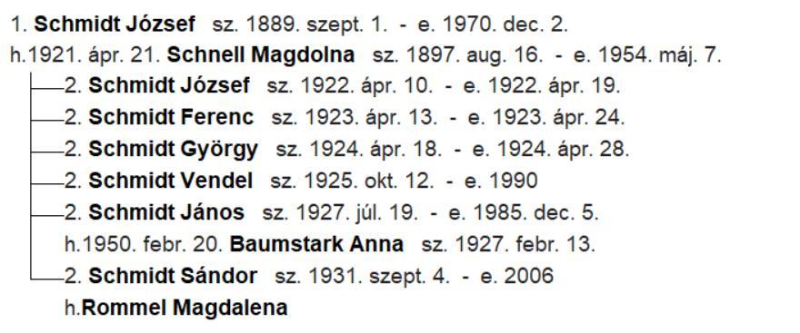 Schmidt János testvérei 6 fiú testvér született, az első három 9, 1