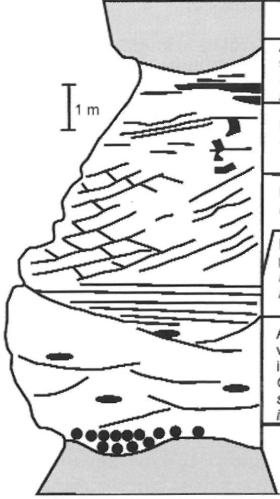 asztok Coarse and medium grained sand: trough cross-bedding intmclasts Kavics és durva homok; eróziós felszínek Gravel und medium grained sand' elusion surfaces 1. ábra.
