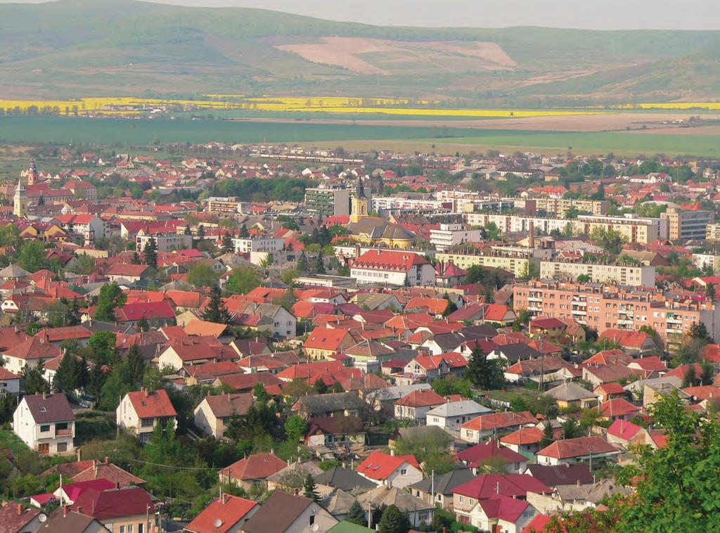 2. ábra. A város látképe a Boglyoskáról 2007 áprilisában Tringli István Fig. 2 View of the town from the Boglyoska, April 2007 Tringli István 1.