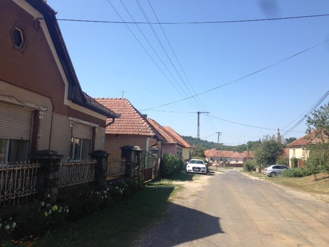 A gazdasági-szolgáltató terület a lakóterületek szélén került kijelölésre. A mezőgazdasági területen szántóföldiművelés folyik, az erdőkben erdőés vadgazdálkodás történik.