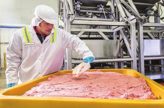 Valójában, mi készítjük az összes ACANA eledelt a környéken élő farmerek, állattenyésztők és halászok által beszállított alapanyagokból.