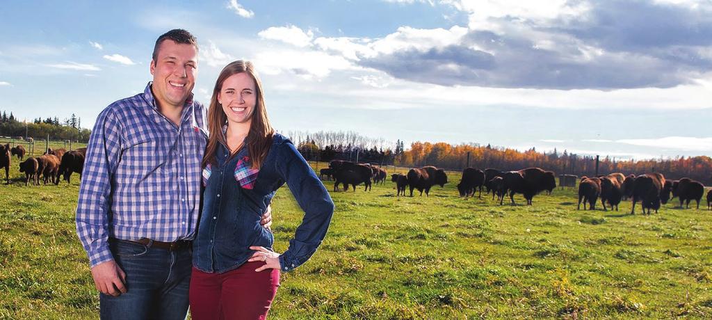 ROGER ÉS KATELYN A CANADIAN RANGELAND BISON RANCSRÓL, LACOMBE, ALBERTA. A FRISS, RIDEGEN TARTOTT BÖLÉNY MEGBÍZHATÓ BESZÁLLÍTÓI.