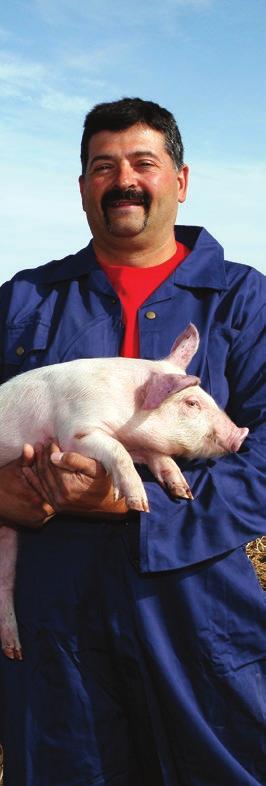 A TERMÉSZETES ÉTREND NAGYON VÁLTOZATOS: MA EGY TOJÁS, HOLNAP EGY SZÁRNYAS VAGY EGY HAL. A FRISS HÚSOK VÁLTOZATOSSÁGA A BIOLÓGIAILAG MEGFELELŐ TÁPLÁLÁSI FILOZÓFIA ALAPJA.