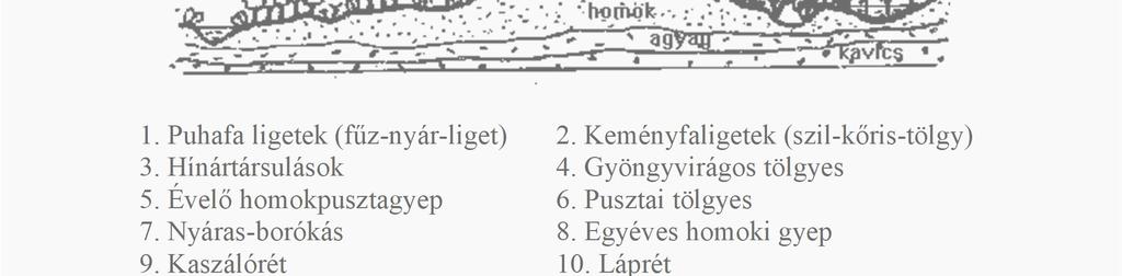 Szikes társulások Hegyvidék 15. Löszpusztagyep 17. Karsztbokorerdő 19. Mészkedvelő tölgyes 21.