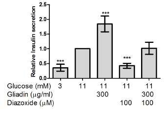 A gliadin stimulálja INS-1E sejtekben az insulin szekréciót,